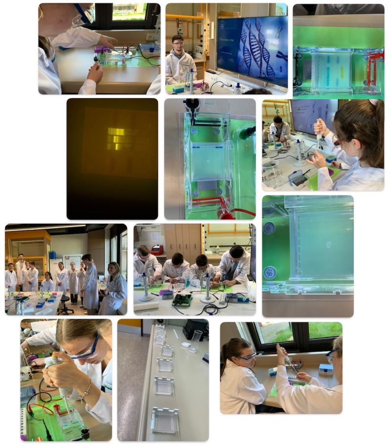Baylab1