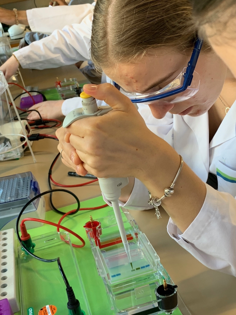 Baylab 3