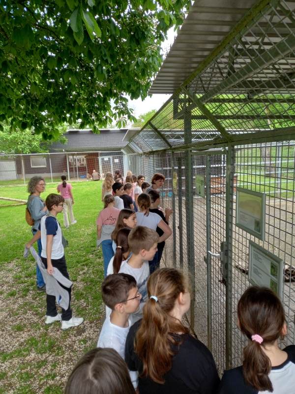 Tierheim 2b